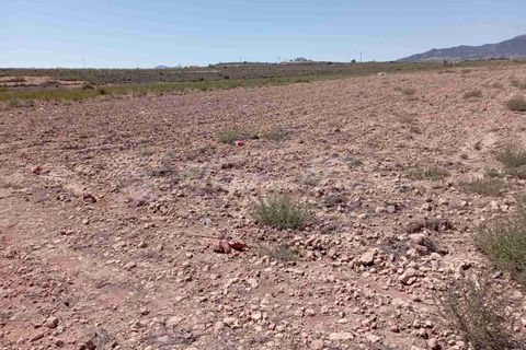 Helårsgrund i Pinoso, Alicante, Pinoso - € 39.000 | Ref: SF0515 - foto 4